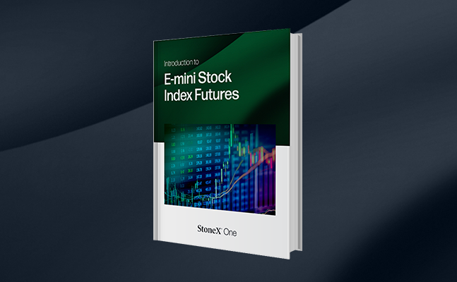 Introduction to E-mini Stock Index Futures guide cover