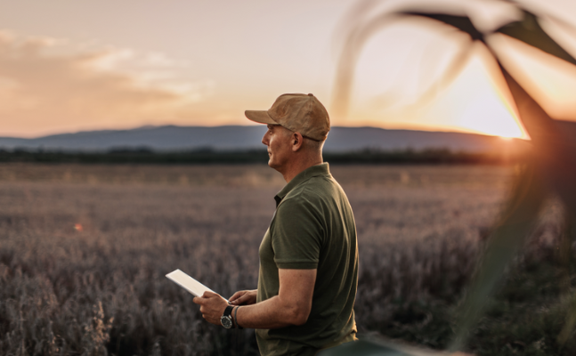Male producer of oilseeds & grains standing in a field, representing a major futures market